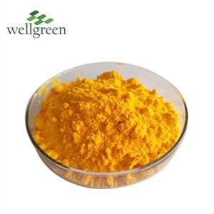 پودر یوبی کینون