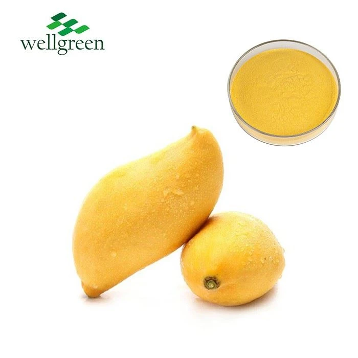 Mango Fruit Powder